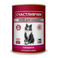 ДМ-00004917