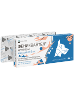 ДМ-00008570