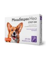 ДМ-00005441