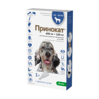ДМ-00006614