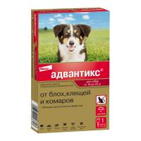 УТ000675130