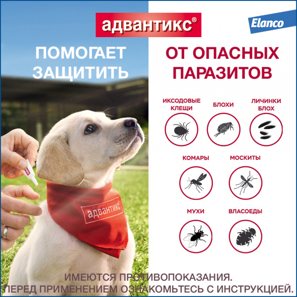 УТ000675130++