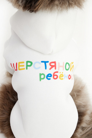 ДМ-00009681+