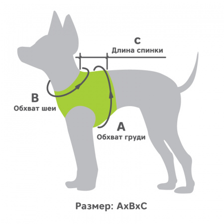 ДМ-00004374+++++++