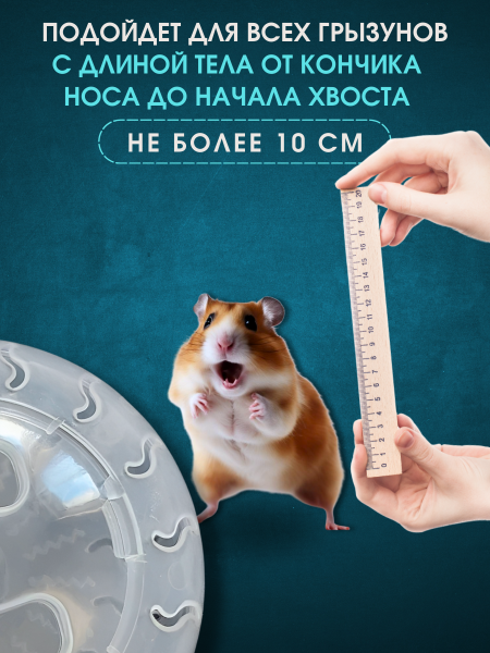 ДМ-00005918+