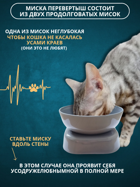 ДМ-00004472+++++