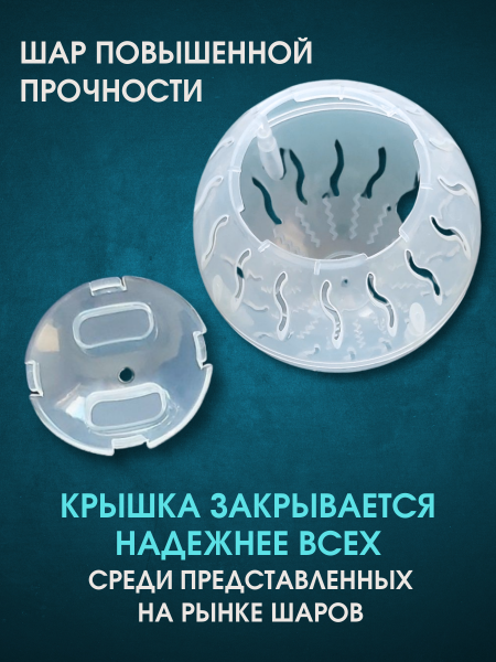 ДМ-00005918++